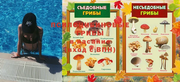 ПСИЛОЦИБИНОВЫЕ ГРИБЫ Абинск