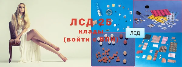 ПСИЛОЦИБИНОВЫЕ ГРИБЫ Абинск
