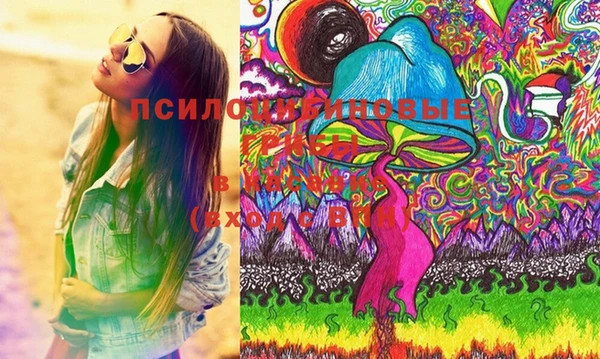 ПСИЛОЦИБИНОВЫЕ ГРИБЫ Абинск
